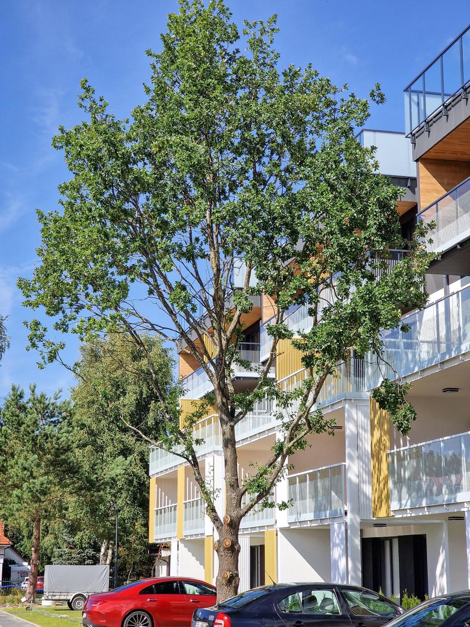 Posesja Apartamenty & Spa - Posesja Plazowa 4A II Grzybowo  Exteriör bild